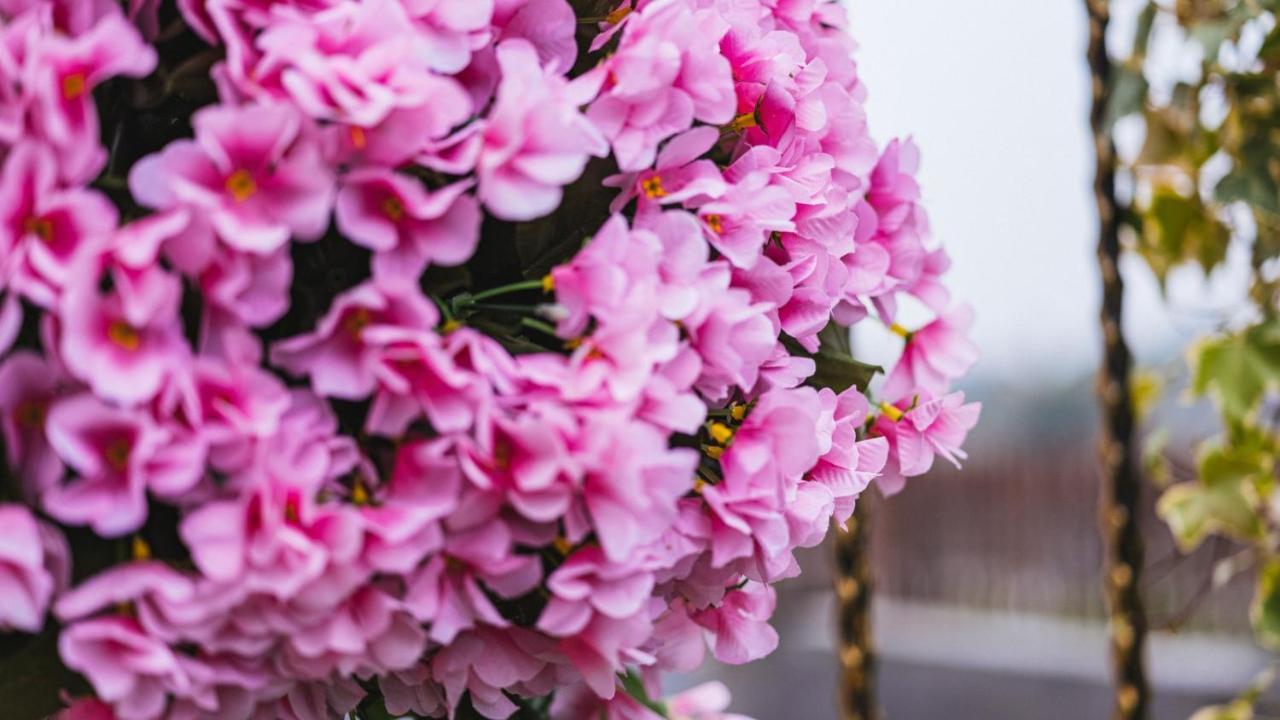 Floral Pudong Mingyuge Theme International Tourism Hotel Shanghai